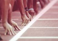 وبسایت لاک پشتی بهتر است یا خرگوشی