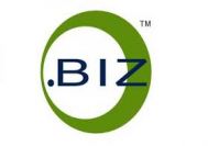آشنایی با دامنه biz .