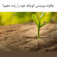 چگونه بیزینس کوچک خود را رشد دهیم؟ بخش اول