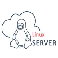 سرورهای اختصاصی لینوکس