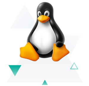 linux iran host