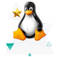 special linux host