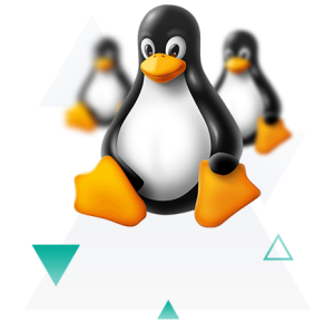 reseller linux iran host