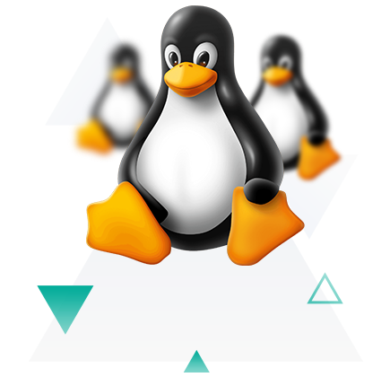 reseller linux iran host