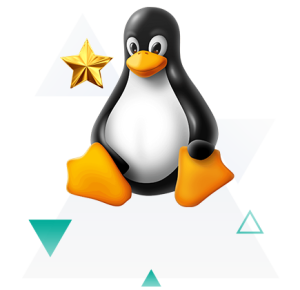 special linux host