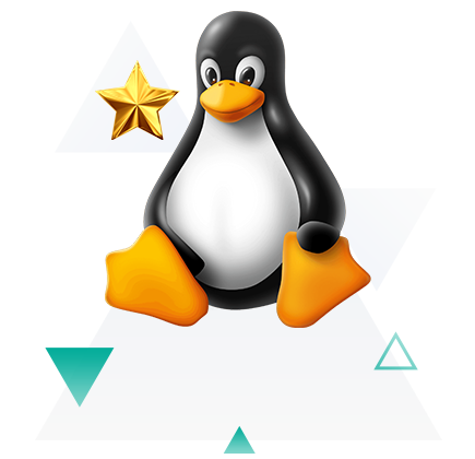 special linux host